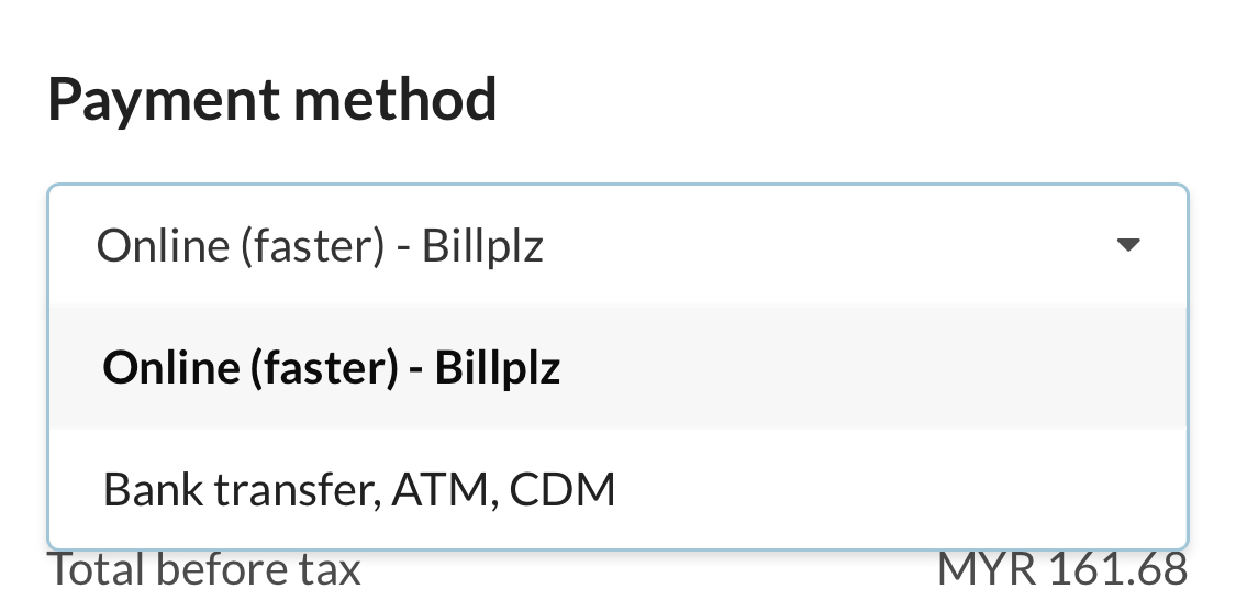 Payment options section showing available payment methods